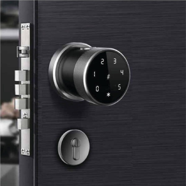 Oji T1X Fingerprint Smart Lock in door