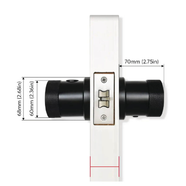 Oji T1X Measurement