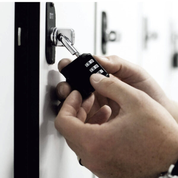 Ojmar Hasp Lock 2