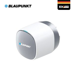 Blaupunkt-Vio-d2